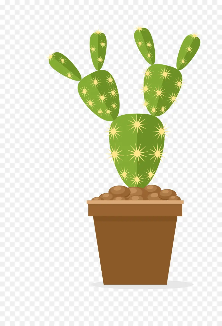 Las Chumberas，Cactaceae PNG