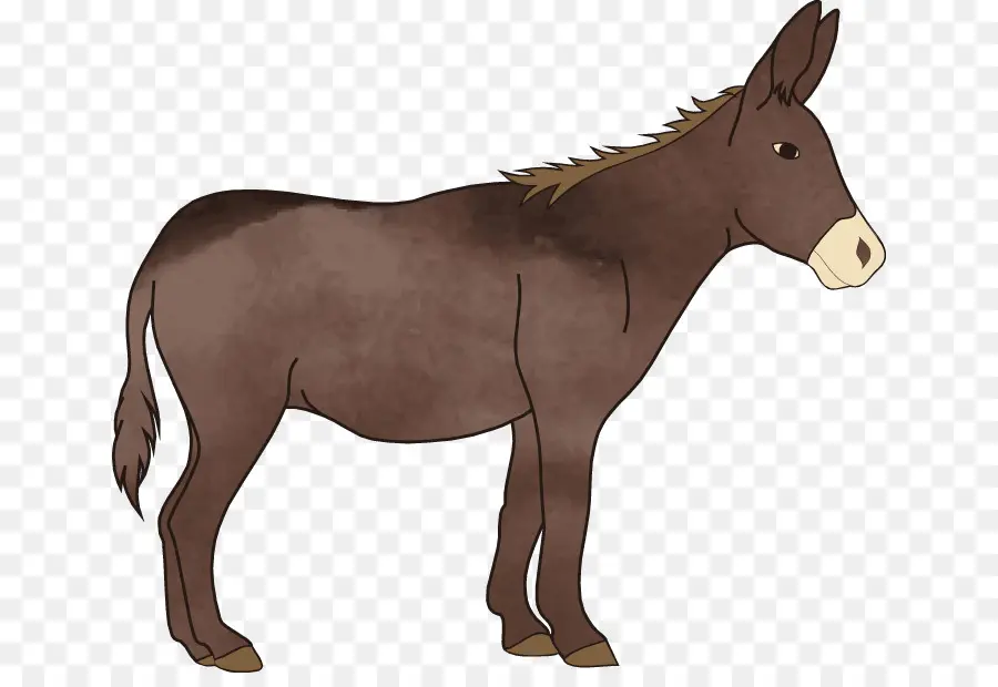 Caballo，Equino PNG