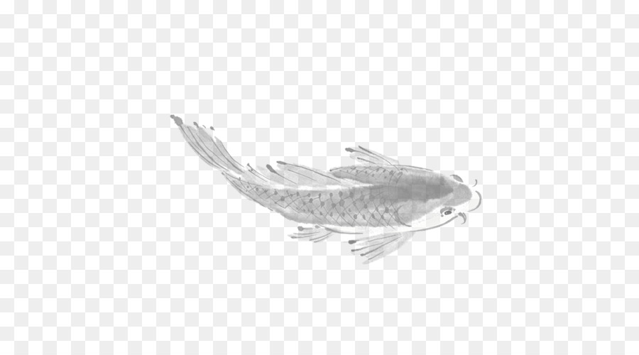 Pescado Blanco Y Negro，Acuático PNG