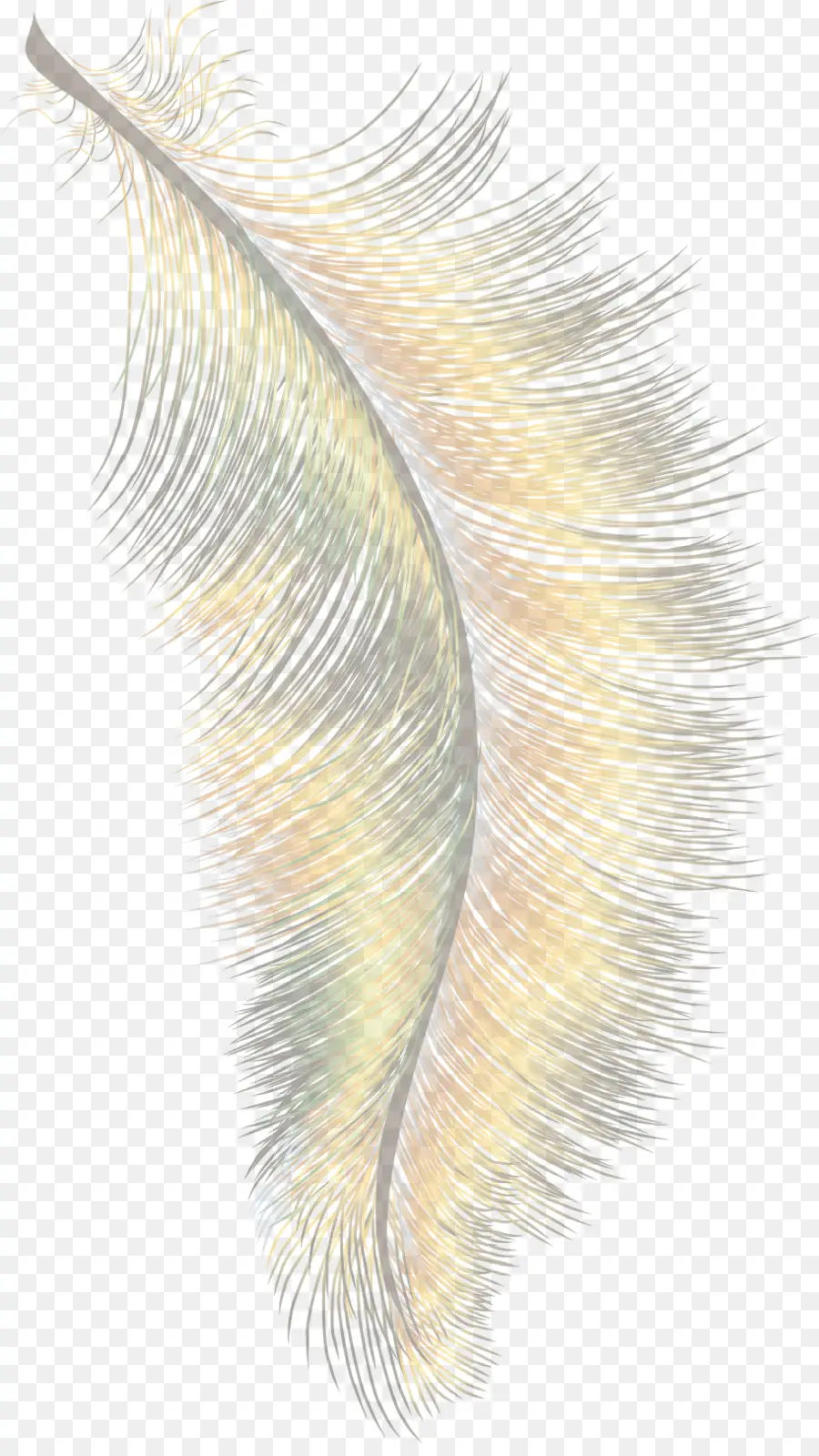 Pluma，De Dibujos Animados PNG