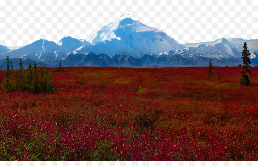 Denali，Wonder Lake PNG