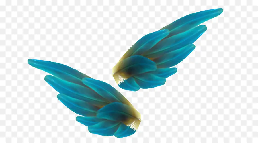 Alas Azules，Plumas PNG