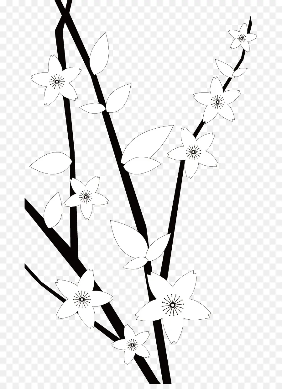 Flores En Blanco Y Negro，Florecer PNG