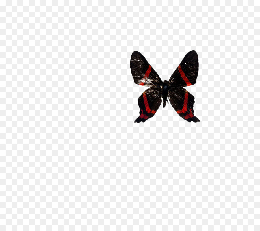 Mariposa，Postscript Encapsulado PNG