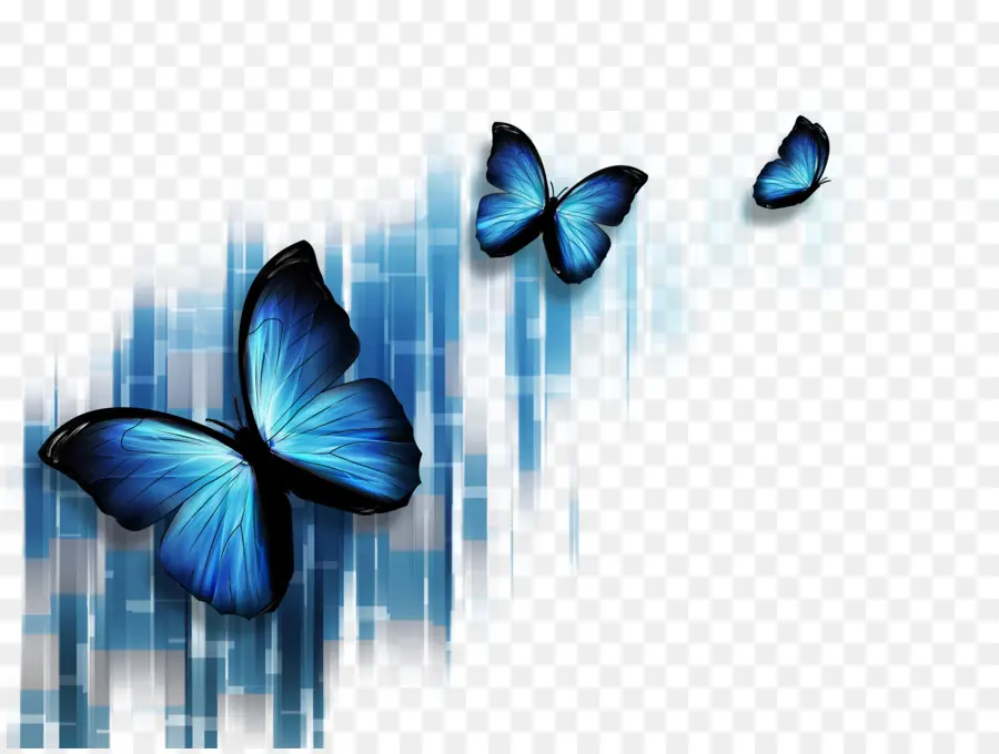 Mariposa，Azul PNG