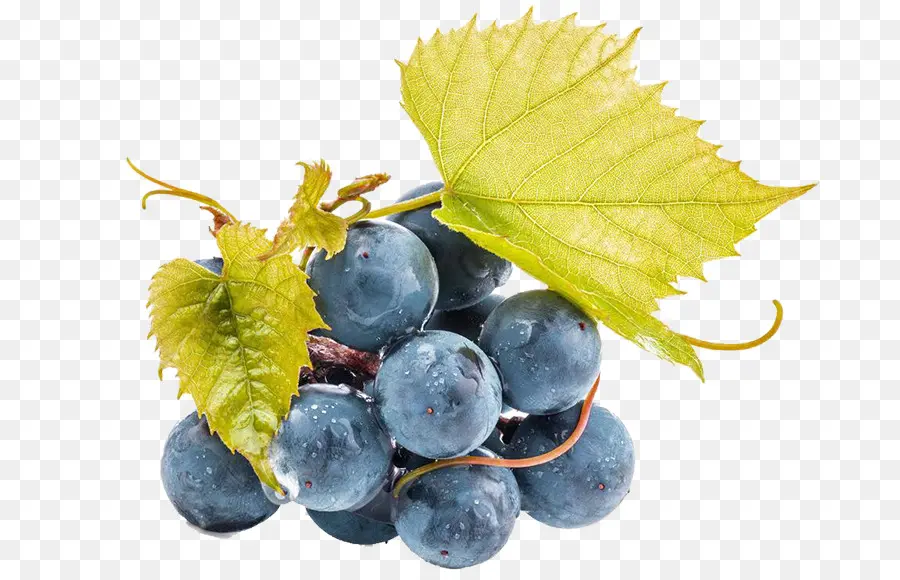 Jugo，Vino PNG