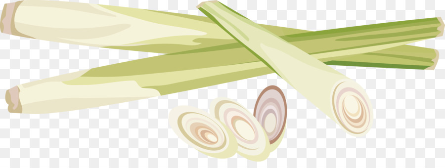 Pintura De Acuarela，Cebollino PNG