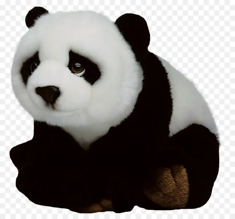 El Panda Gigante，El Panda Rojo PNG