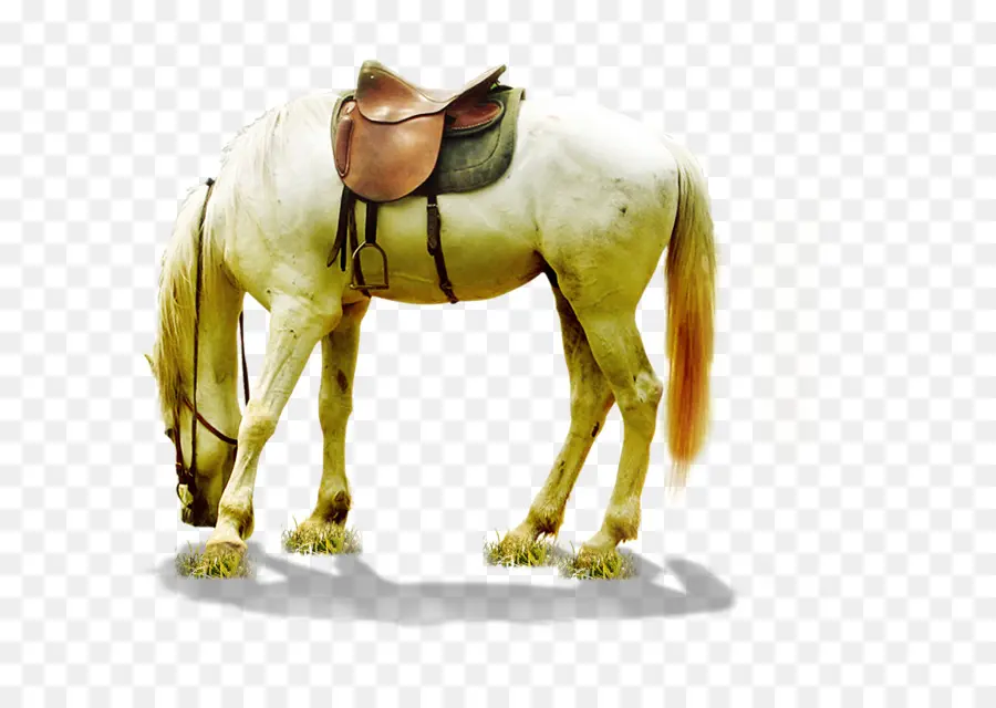 Caballo Blanco，Sillín PNG