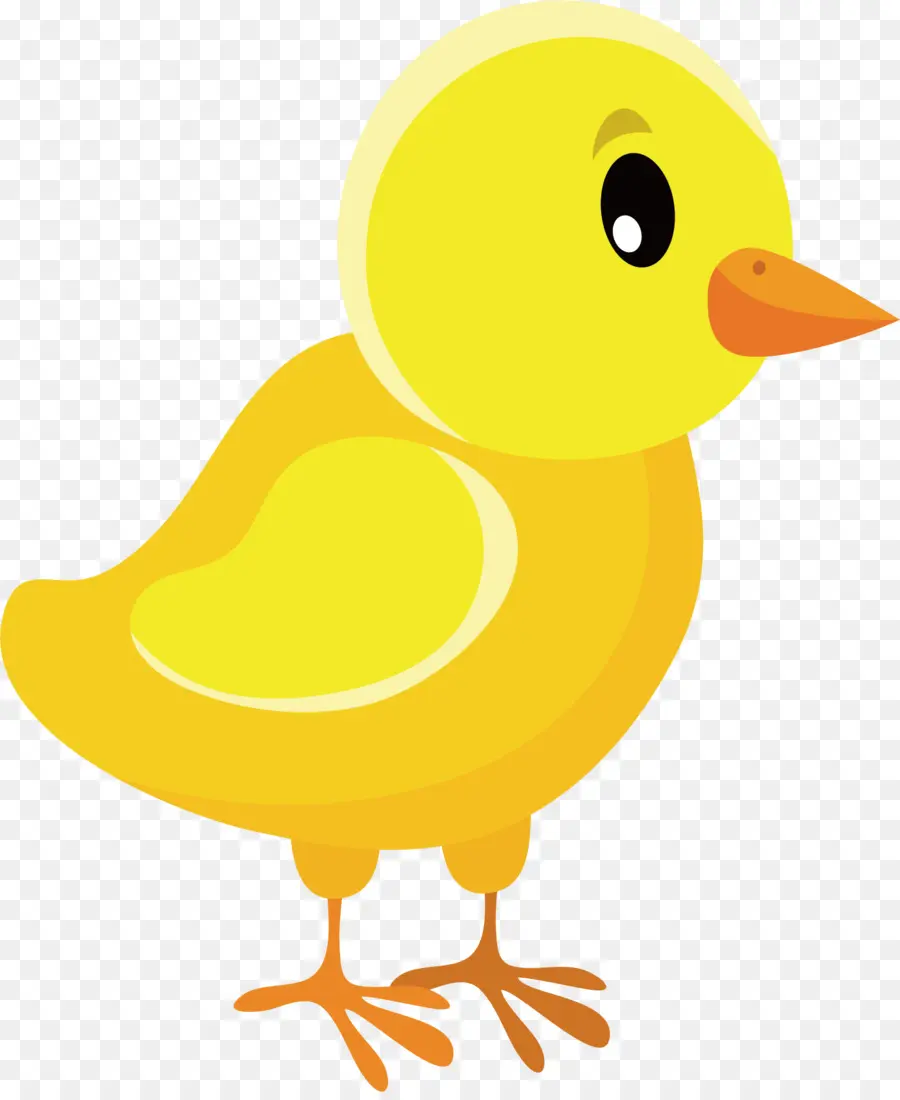 Pato，Amarillo PNG