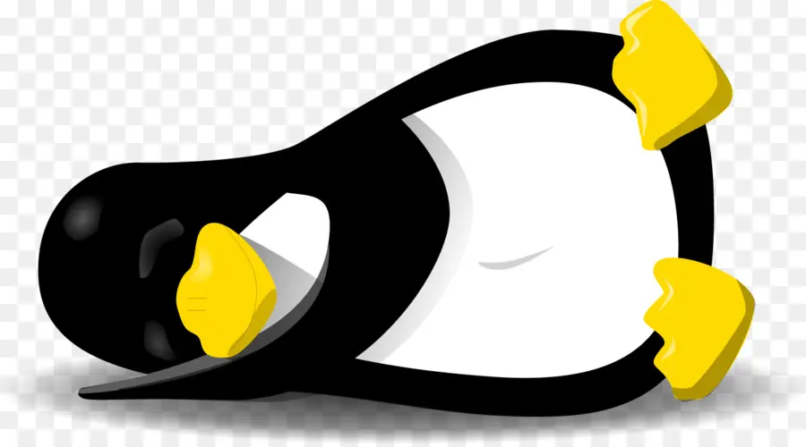 Pingüino De Dibujos Animados，Pingüino PNG