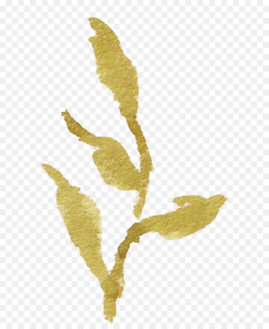 Hoja Dorada，Planta PNG