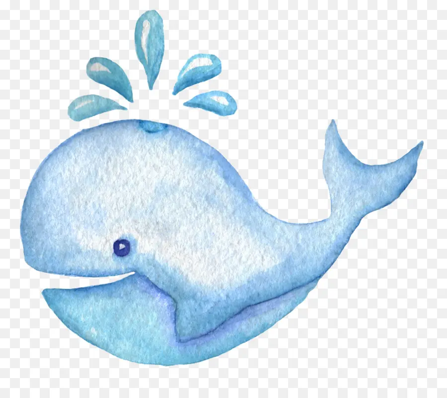 Ballena，De Dibujos Animados PNG