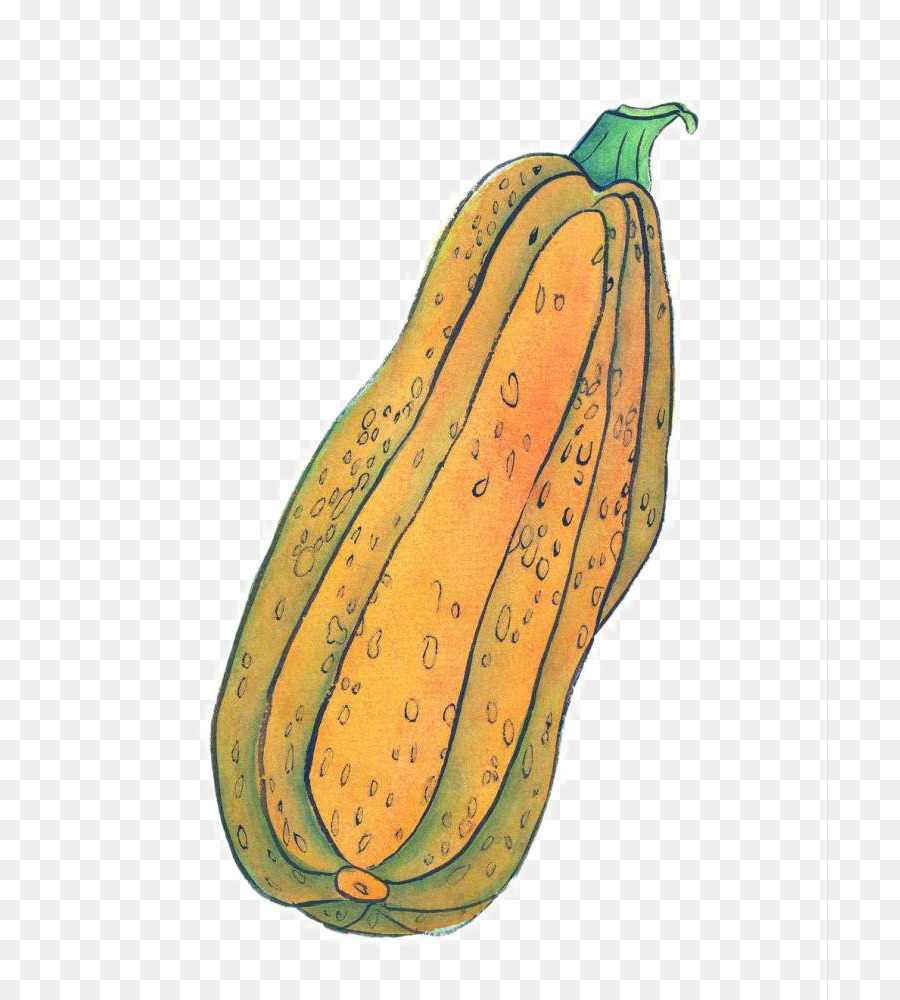 Calabaza，Tinta De Lavado De Pintura PNG