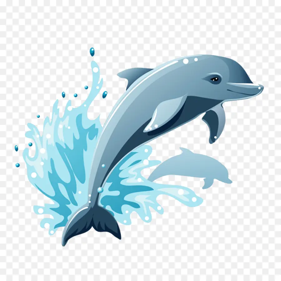 Dolphin，De Dibujos Animados PNG