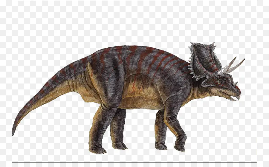 Triceratops，Prehistórico PNG