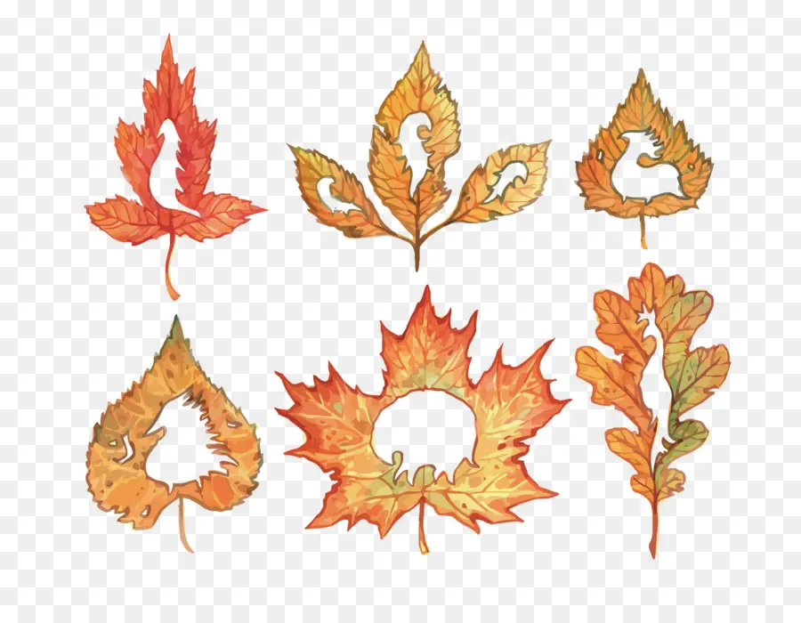 Hojas De Otoño，Caer PNG