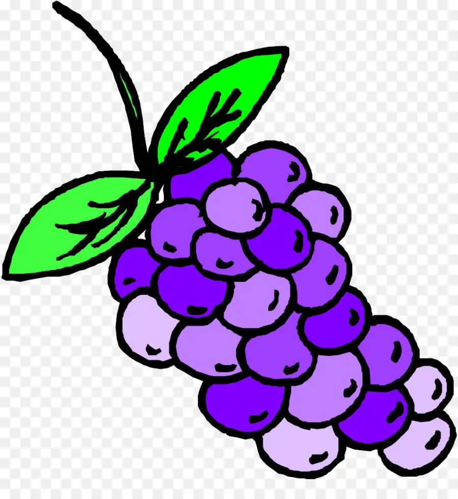 Uvas，Enredadera PNG