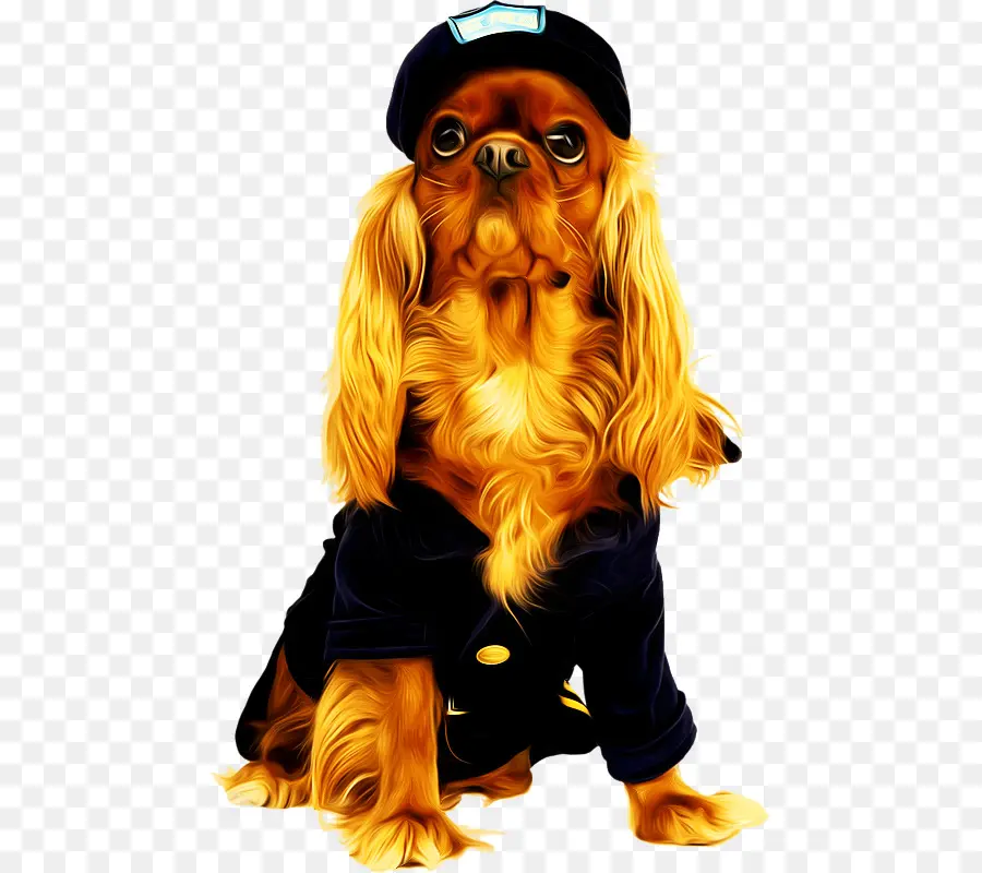 Perro Disfrazado，Mascota PNG