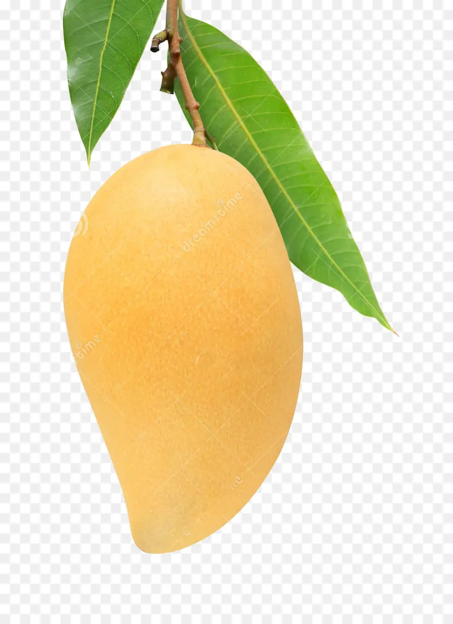 Mango，Hoja PNG