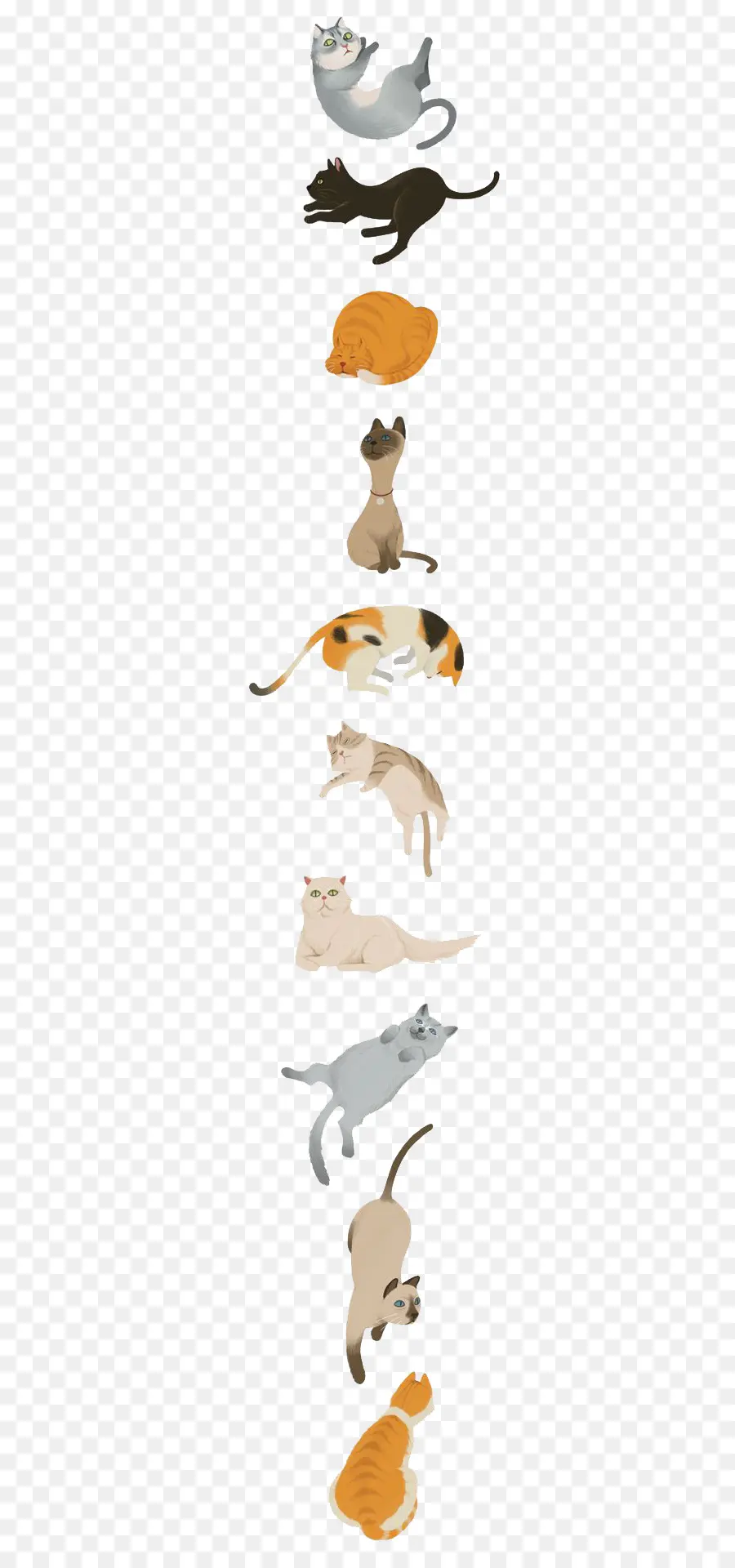 Gatos，Mascotas PNG