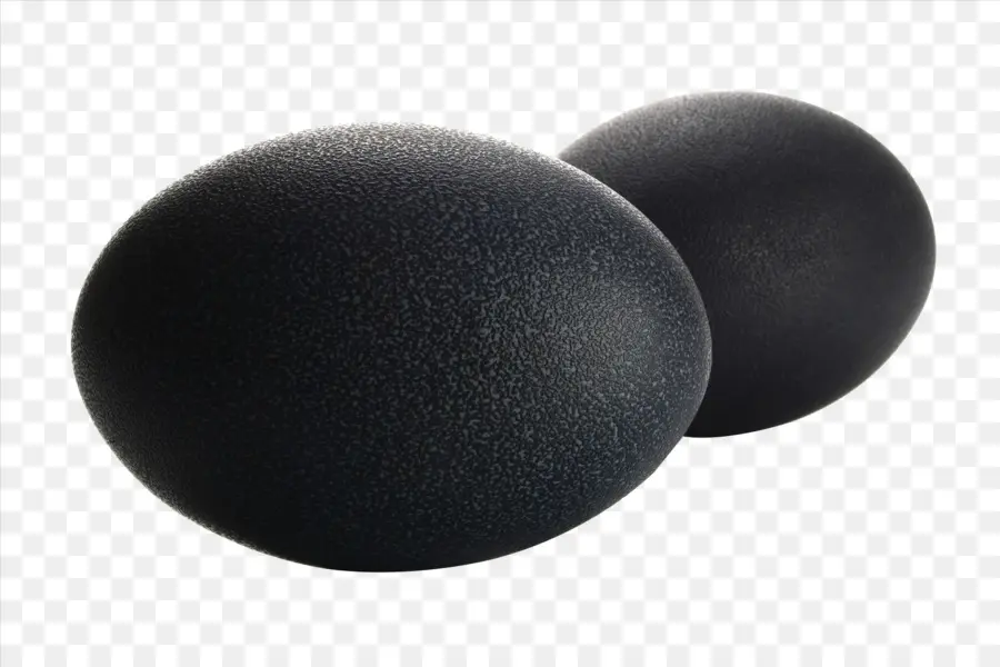 Material，Negro PNG