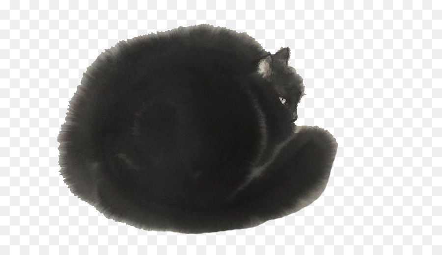 Gato Negro，Rizado PNG