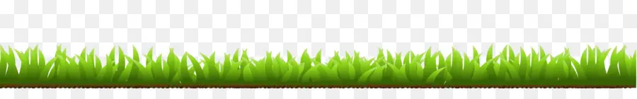 Wheatgrass，Equipo PNG