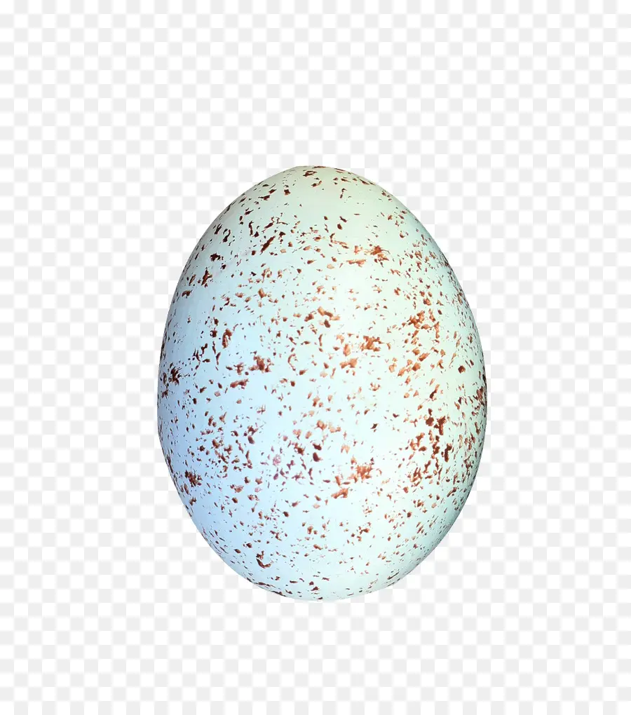 Los Huevos De Aves，Huevo PNG