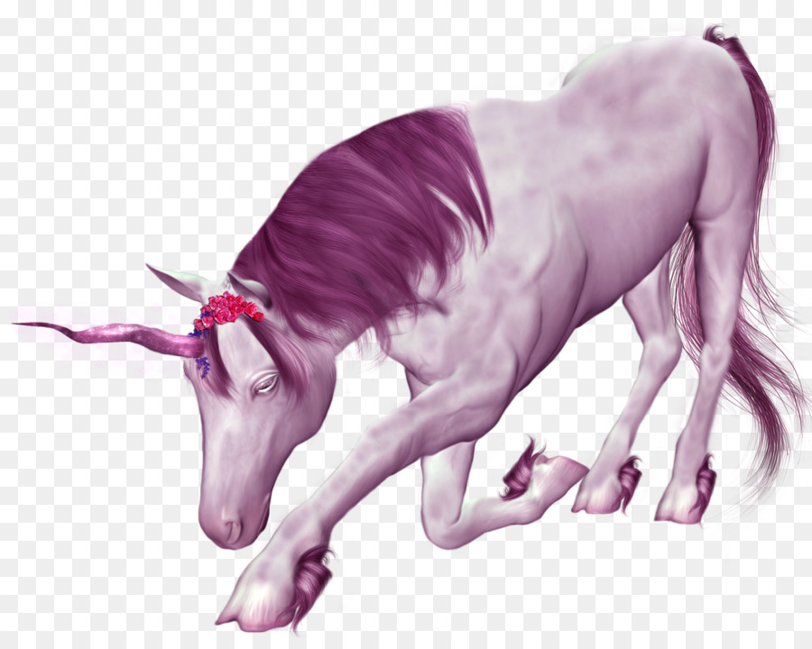 Unicornio，Púrpura PNG