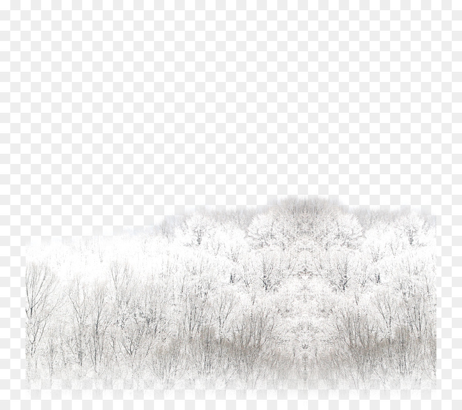 Bosque Nevado，Invierno PNG