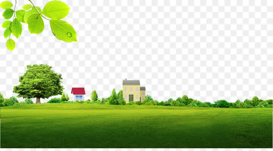 Casas Verdes，Ecológico PNG