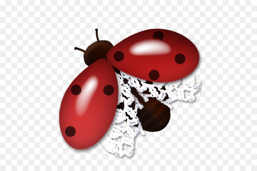 Escarabajo，Coccinela PNG