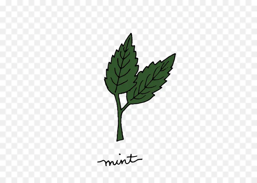 Menta，Plantas Medicinales PNG