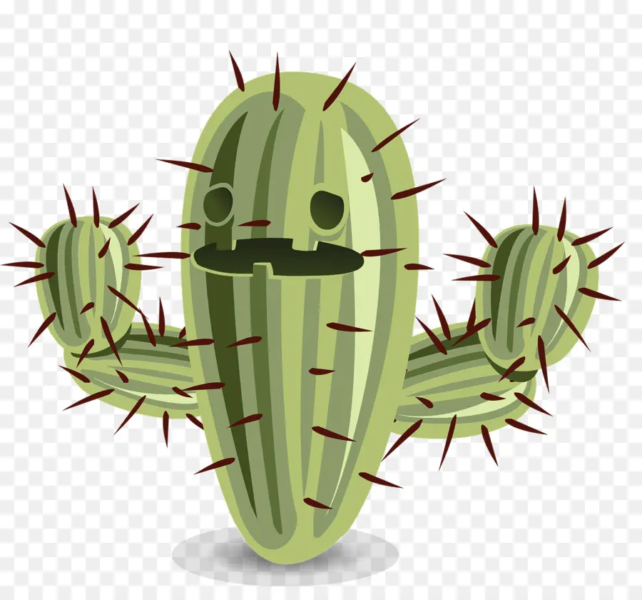 Cactus，Planta PNG