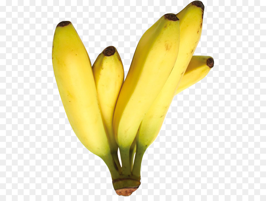 Plátano Saba，Banana PNG