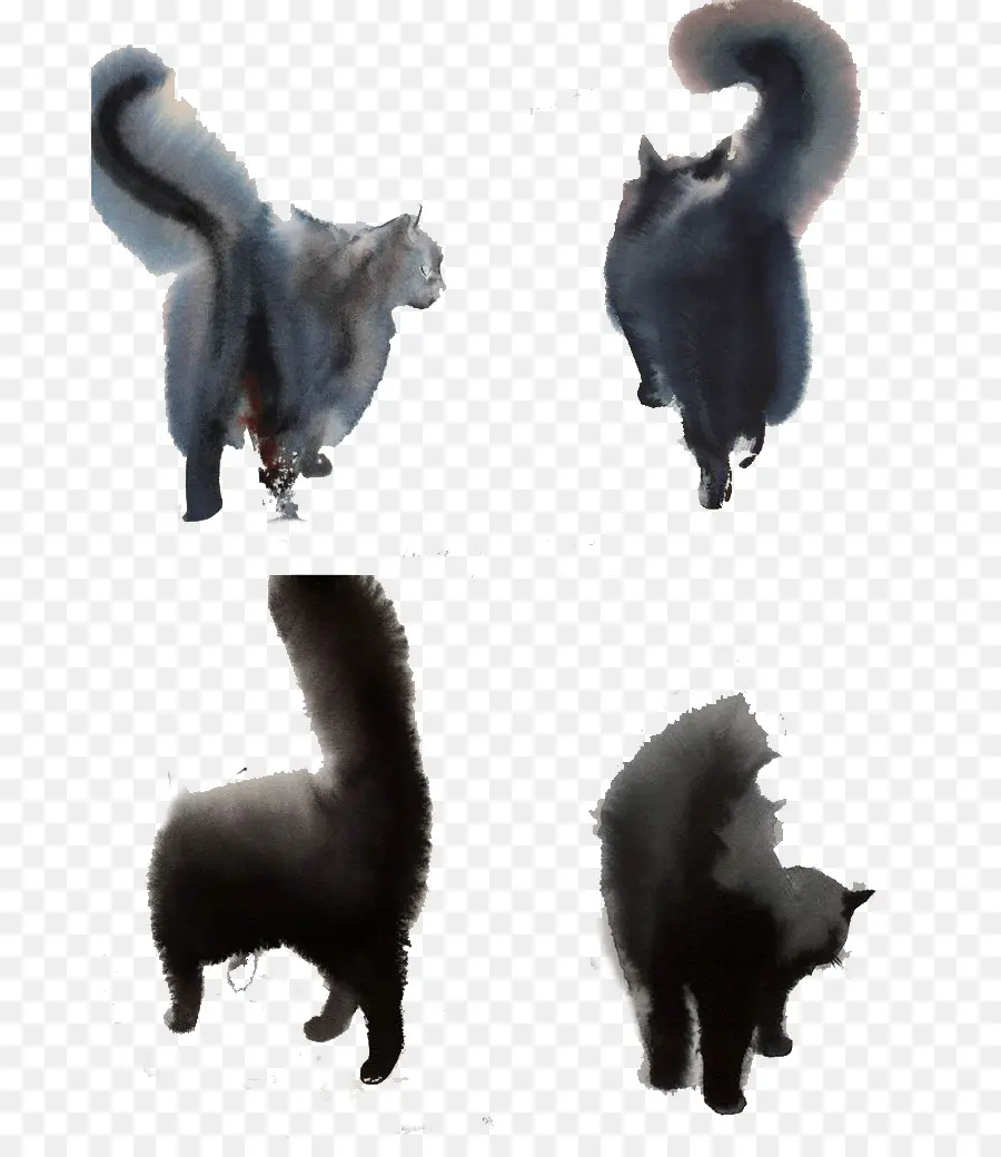 Gatos，Negro PNG