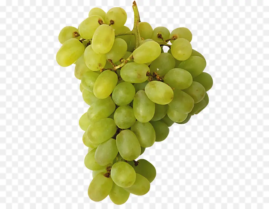 Uvas Verdes，Enredadera PNG