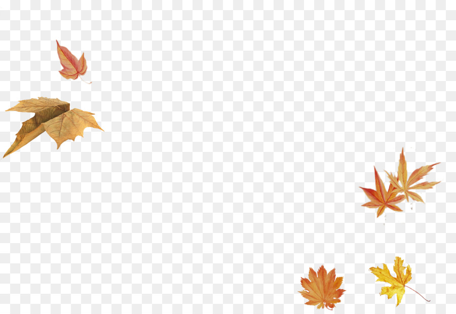 Hojas De Otoño，Caer PNG