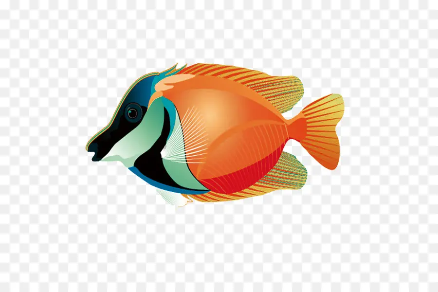 Los Peces，Peces Tropicales PNG