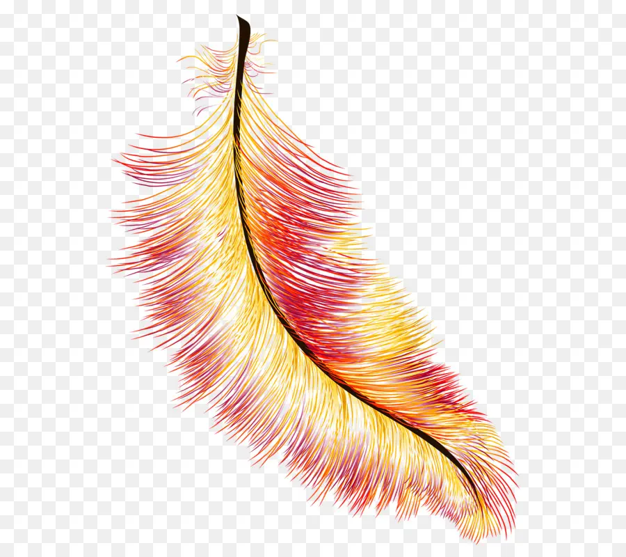 Pluma，Vistoso PNG