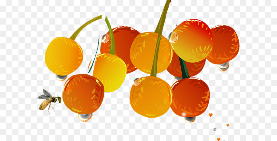 Clementine，Mandarina PNG