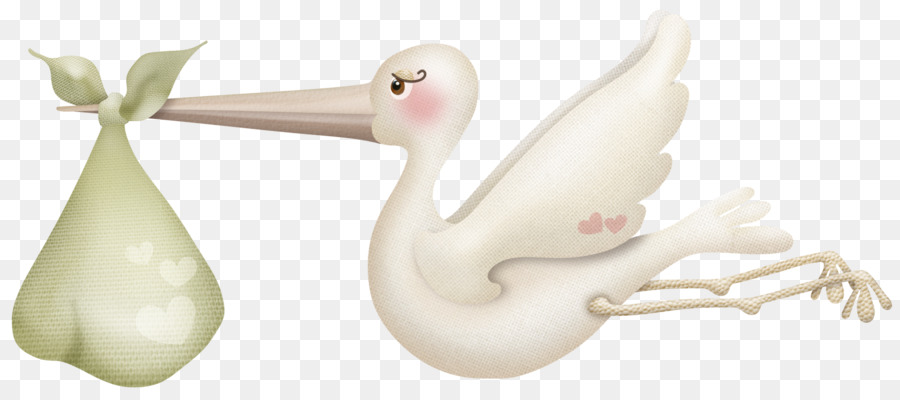 Cygnini，Pato PNG