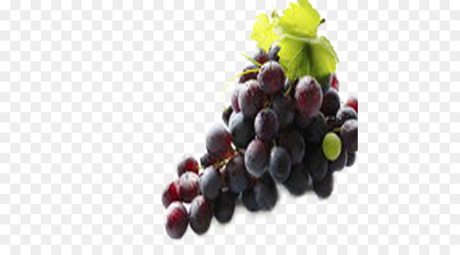 Vino Tinto，Vino PNG