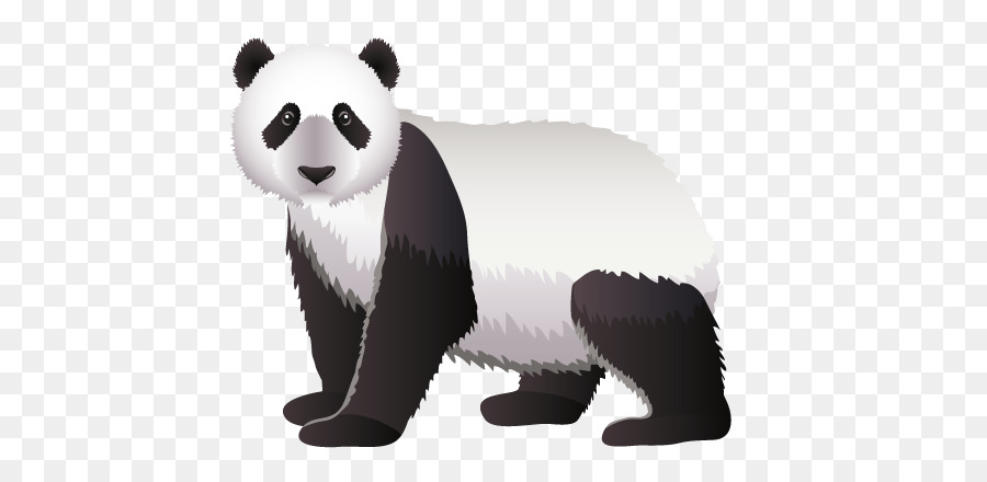 Panda，Oso PNG