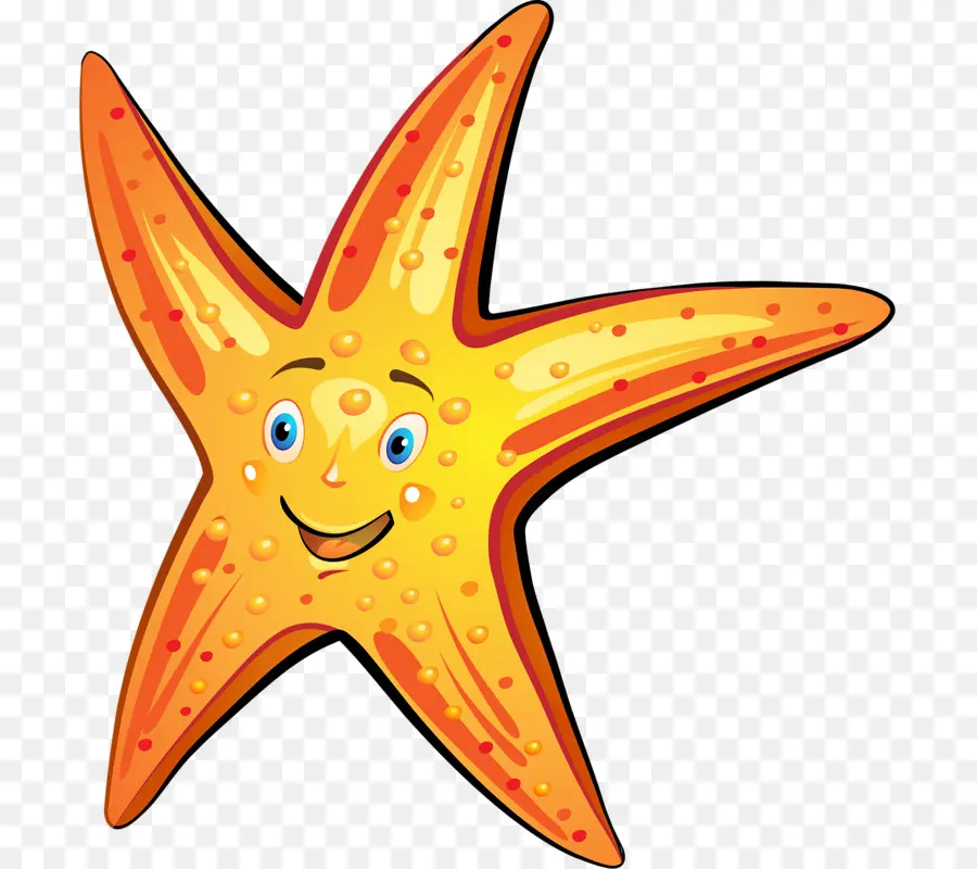 Estrella De Mar Sonriente，Océano PNG