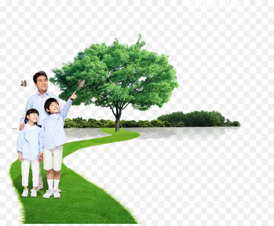 Familia En El Parque，Árbol PNG