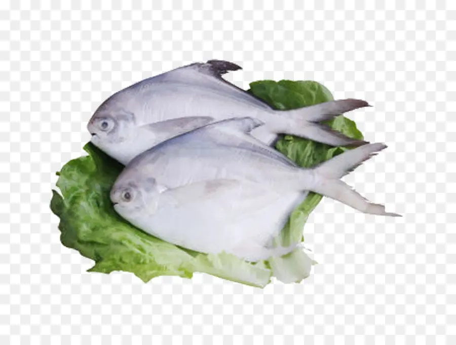 Pescado Palometa，Mariscos PNG