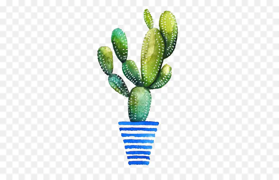 Pintura A La Acuarela，Cactaceae PNG