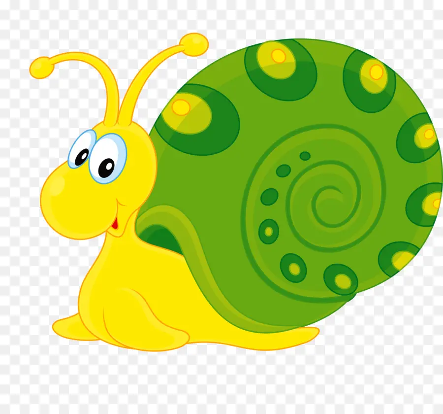 Insecto，Caracol PNG